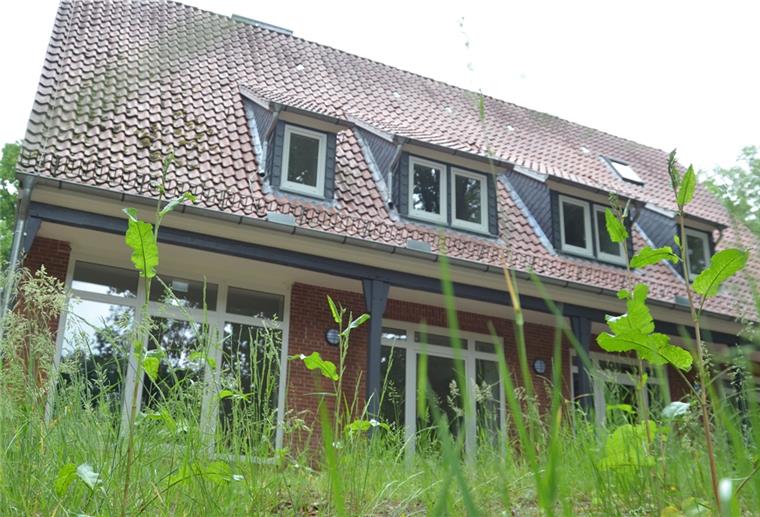 Zeven: Im Haus der Jugend tut sich seit Monaten nichts Rund um das frisch sanierte Haus der Jugend wuchert das Unkraut. Eigentlich sollte dort längst das Jugendzentrum untergekommen sein.
