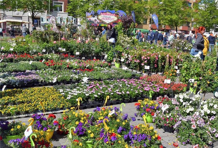 Verkaufsoffener Sonntag in Geestemünde wird bunt Konrad-Adenauer-Platz