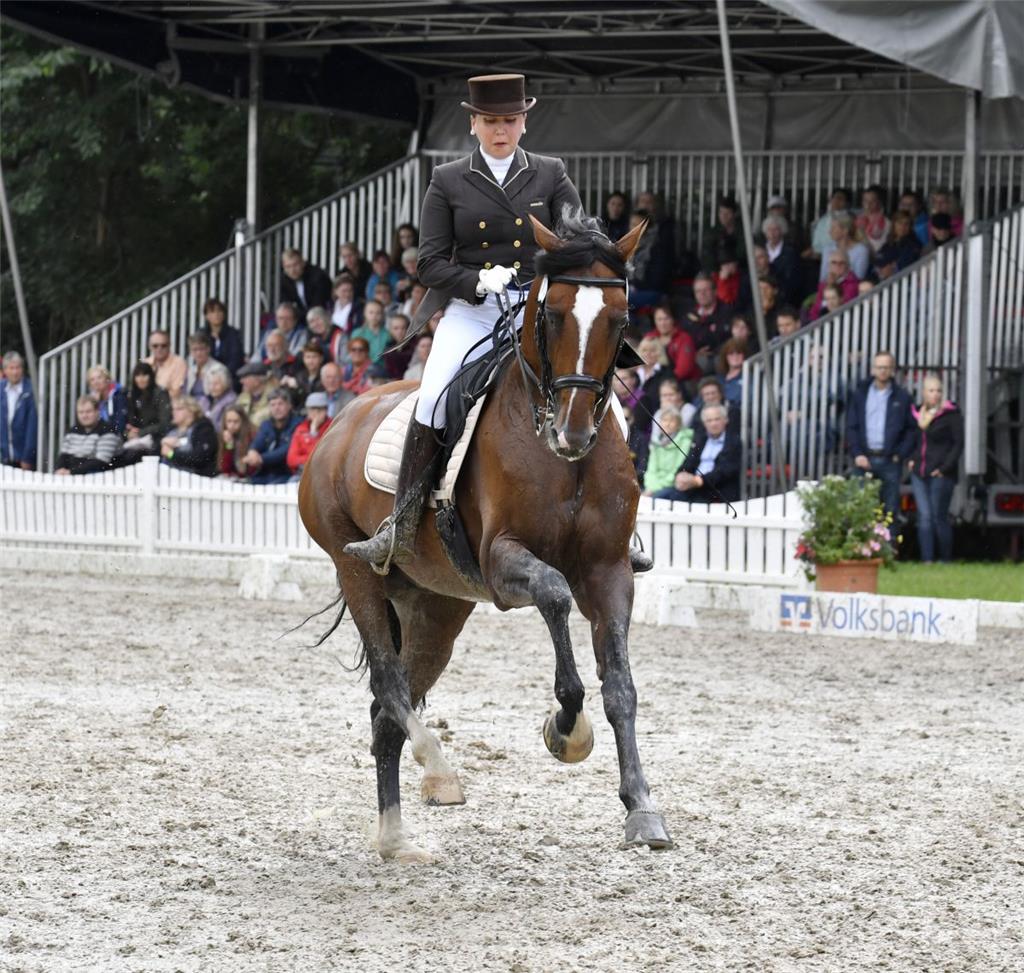 S-Dressur mit Inessa Merkulova mit Avans. Foto: Scheschonka