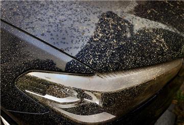 ARCHIV - Saharastaub besteht aus feinen Sandkörnern, die auf Lack, Scheiben und Kunststoffoberflächen Kratzer hinterlassen können. (zu dpa: «So geht der Saharastaub schadlos vom Auto ab») Foto: Karl-Josef Hildenbrand/dpa/dpa-tmn - Honorarfrei nur für Bezieher des dpa-Themendienstes +++ dpa-Themendienst +++