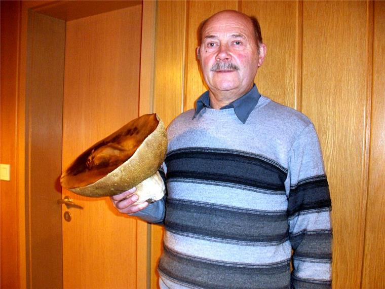 Wilstedter findet kiloschweren Steinpilz Sammler im Glück: der Wilstedter Gerhard Bischoff mit seinem riesigen Steinpilz.