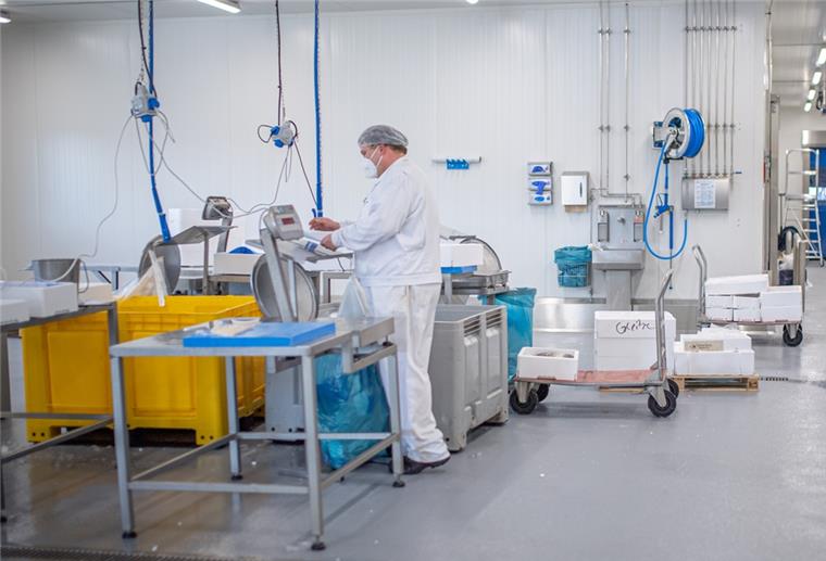 Neubau: Sandor Seafood investiert in Bremerhaven Sandor Seafood hat im Fischereihafen neue Räume bezogen.