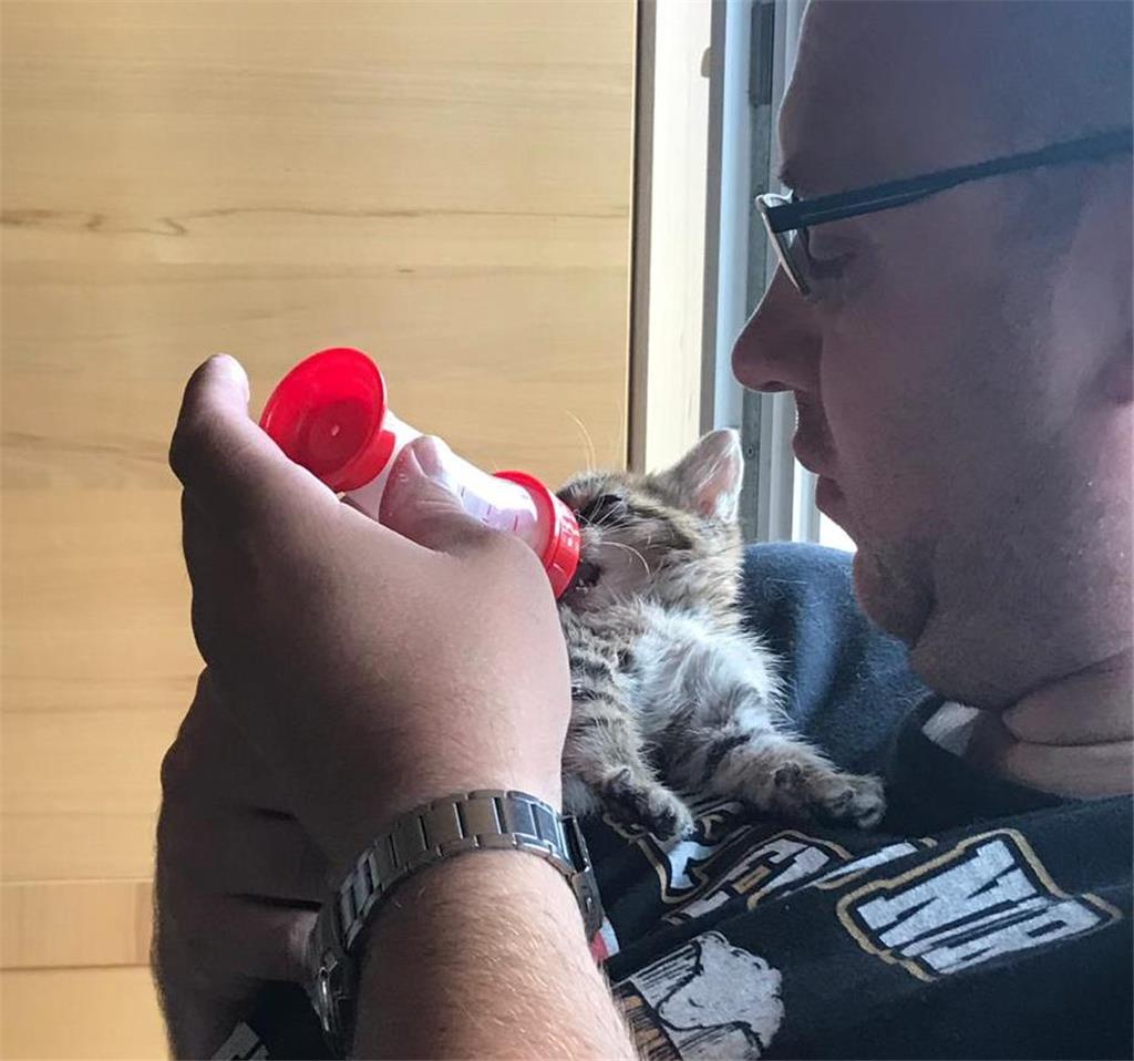 Sascha Krebs hat Bengal-Katze Susi mit der Flasche aufgezogen. Vergangenes Jahr ...