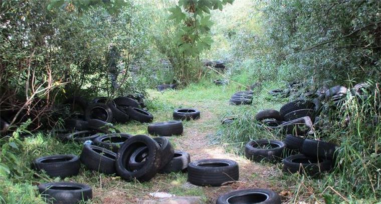 Sauerei in Geestemünde: Unbekannte haben alte Autoreifen auf einem Grünstreifen entsorgt.
