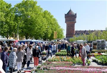 Blütenfest Bremerhaven