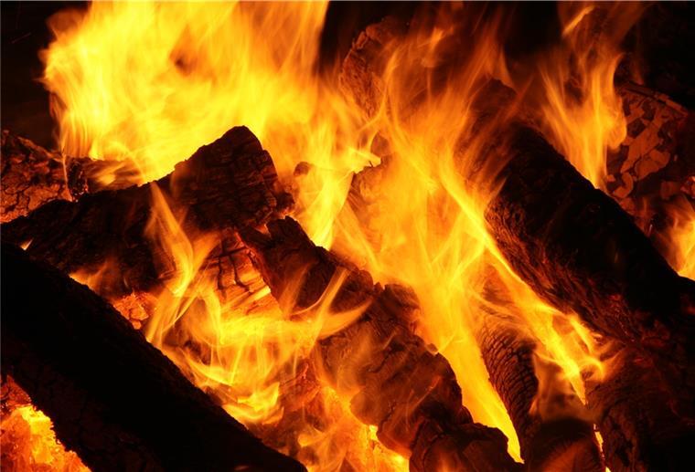 Keine Holzauktion am Montag in Hepstedt Schade: Wer gehofft hatte, bei der Auktion in Hepstedt günstig an Holz für den Kamin zu kommen, wird enttäuscht sein.