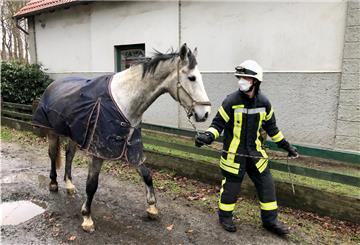Schimmel Uno-Bube konnte von einem Feuerwehrmann an einen sicheren Ort gebracht werden.