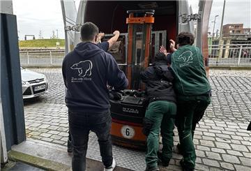 Mehrere Tierpfleger verladen eine Transportbox. Für den Zoo am Meer war es ein trauriger Tag, als Affe Donna weggebracht wurde.