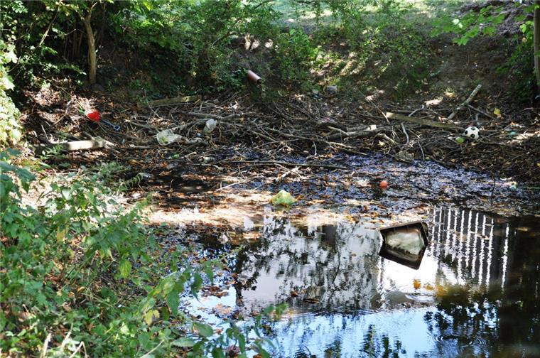 Kaum Wasser, dafür jede Menge Müll in Nordenhamer Parkanlage Schlamm und Plastikmüll statt Wasser: eine Graft im Park Gut Schützfeld in Nordenham