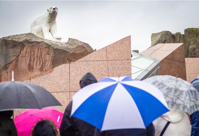 Zoobesuch ab Freitag nur mit Onlineticket Schlange stehen ist verboten: Nur wer vorab ein Onlineticket gebucht hat, kommt in den Zoo - zu einer bestimmten Zeit. Foto: Hartmann