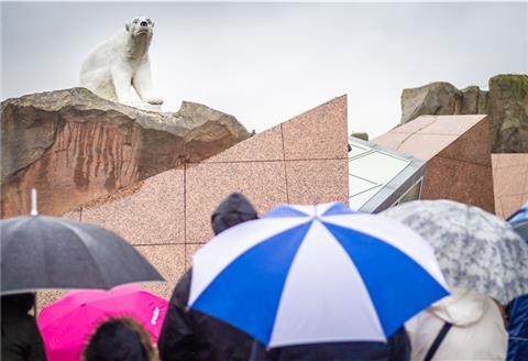 Schlange stehen ist verboten: Nur wer vorab ein Onlineticket gebucht hat, kommt in den Zoo - zu einer bestimmten Zeit. Foto: Hartmann