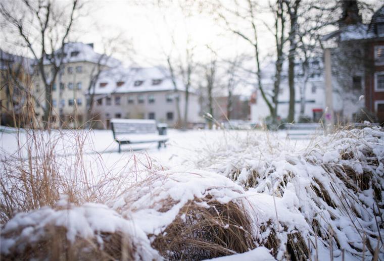 Schnee im Stadtpark Lehe.