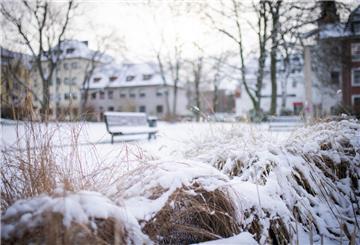 Schnee im Stadtpark Lehe.