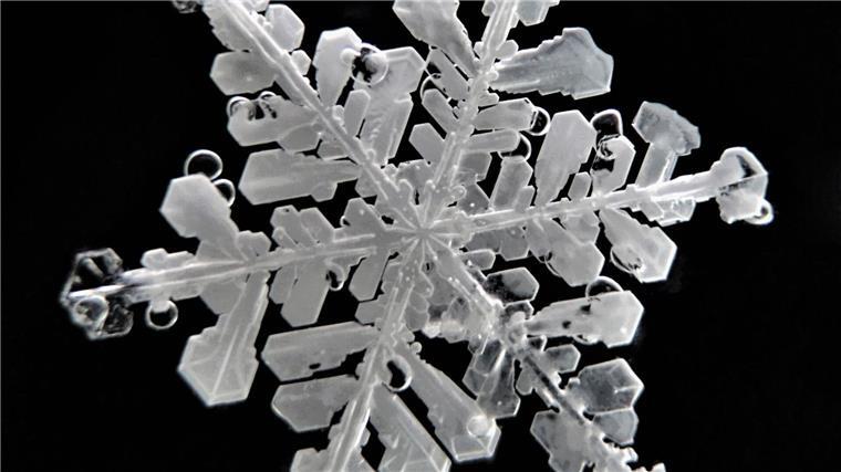 Schneeflocken haben sehr feine Strukturen.