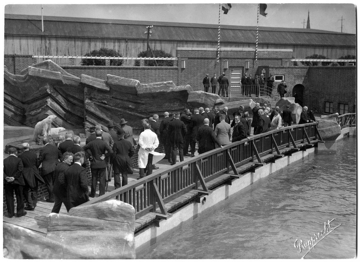 Tierische Party: Der Zoo am Meer feiert seinen 90. Geburtstag Schon 1928 eine Attraktion für viele Besucher: die Eisbären. 90 Jahre später feiert der Zoo am Meer seinen Geburtstag.