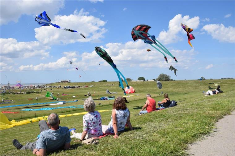 Drachenfest in Tossens: Auf Wind und Regen folgt Sonnenschein Schon aus der Ferne konnte man am Sonntag und Montag die bunten Drachen am Himmel beobachten. Riesige Rochen, Krokodile, Schweine und Kraken glitten durch die Luft.