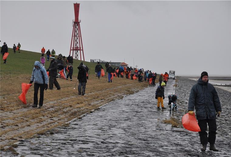 Schon vor einem Jahr beteiligten sich einige hundert Bürger an der Müllsammelaktion des Nabu. Die Helfer reinigten den Strandabschnitt zwischen Tossens und Eckwarderhörne.