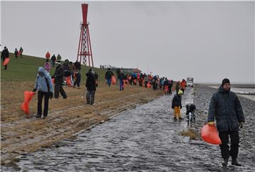 Schon vor einem Jahr beteiligten sich einige hundert Bürger an der Müllsammelaktion des Nabu. Die Helfer reinigten den Strandabschnitt zwischen Tossens und Eckwarderhörne.