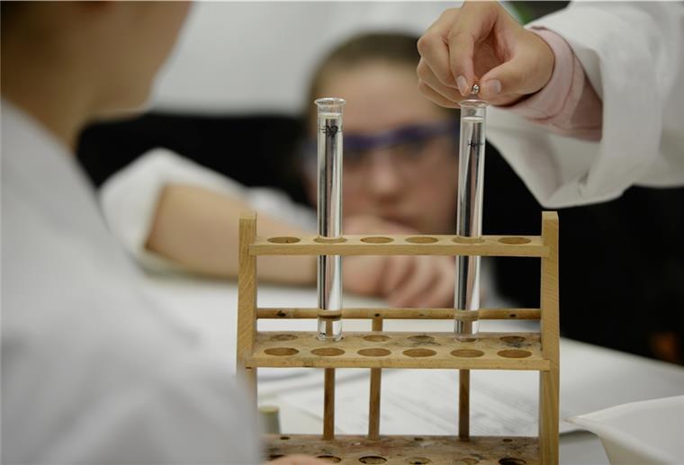 Braker Gymnasium ist „MINT“-freundlich Schülern Naturwissenschaften nahebringen – das gelingt im Braker Gymnasium besonders gut. Kästle/dpa