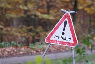 Schwerer Unfall bei Treibjagd: