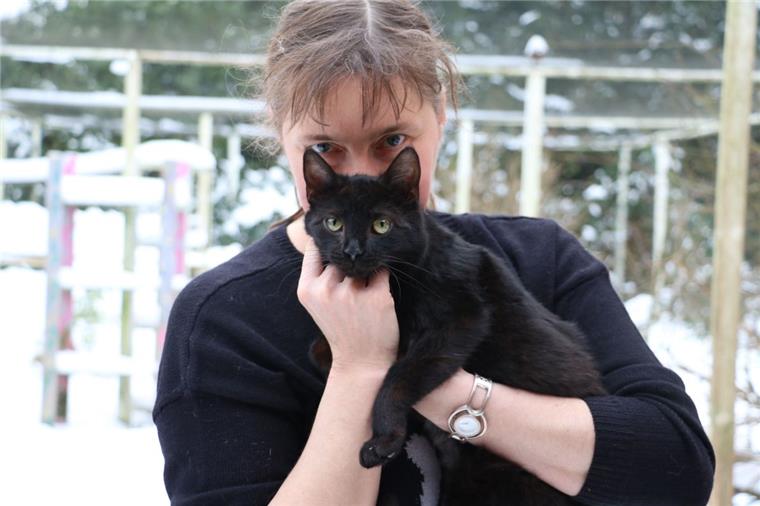 Fernsehdreh im Katzenasyl Pfotenhilfe in Bexhövede Schwarz wie die Nacht: Birgit Neumann kümmert sich täglich um Maya und die anderen Katzen in der Pflegestelle der Pfotenhilfe in Bexhövede. Foto Albert