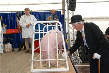 Schweinemarkt in Dedesdorf: Jolante kommt unter den Hammer und die Marktkönigin ...