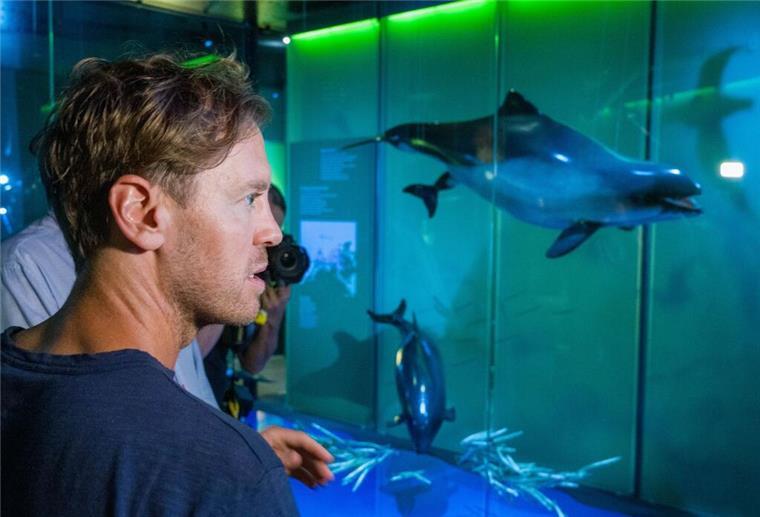 Vettel als Umweltschützer: „Das große Thema unserer Zeit“ Sebastian Vettel erhält Einblicke in das Leben im Meer.