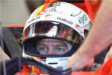 Sebastian Vettel ist glücklich: Er startet am Sonntag in Ungarn von der Pole Position.
