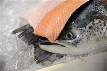 Sechs Profi-Köche aus Deutschland und Österreich treten im Fischereihafen vor einer Jury an und müssen zeigen, wie sie den Norden interpretieren, ganze Fische zubereiten und Algen als Dessert verarbeiten können.