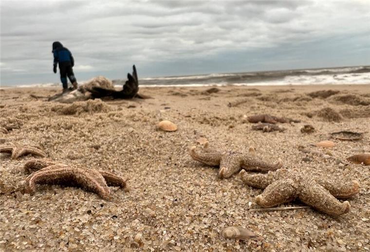 Der Strand von List auf Sylt.