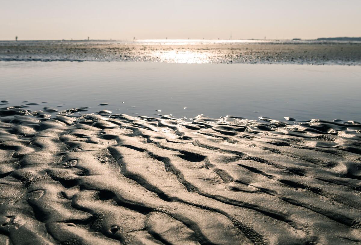 Ein Blick auf einen Priel im Wattenmeer zwischen Cuxhaven und der Insel Neuwerk.