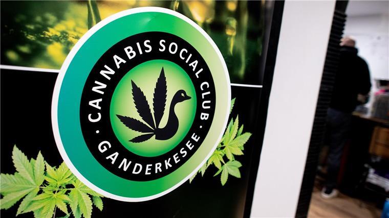 Seit dem 1. April 2024 ist der Cannabis-Konsum in Deutschland legal.