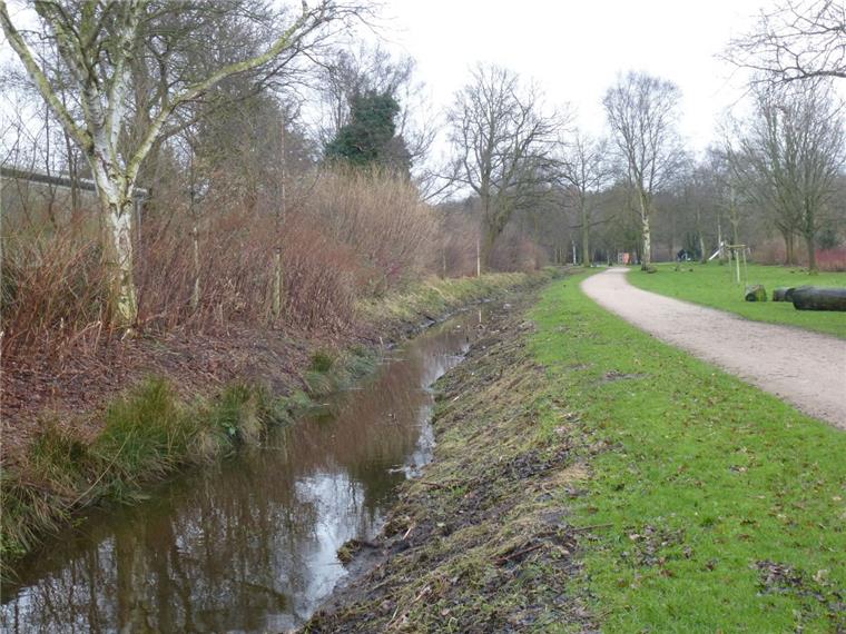 Wassermassen in Bremerhaven: Drainage und Pumpwerk sollen helfen Seit der Begehung im Dezember ist der Wasserstand im Graben Moorhöfe in Bremerhaven gefallen. Wie hoch es gestanden haben muss, ist aber am Rand zum Wanderweg noch gut zu erkennen.