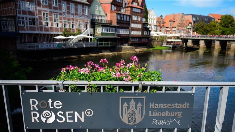 Lüneburg profitiert seit fast 20 Jahren von „Roten Rosen“ Seit diesem Sommer gibt es sogar einen offiziellen Fotopoint auf der Brausebrücke mit Blick auf die Ilmenau und dem mondänen Hotel Bergström (in der Serie Drei Könige) an der Seite.