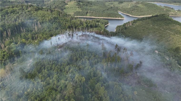 Nach Waldbrand im Harz: Wald wird wieder freigegeben Seit Sonntag hatte es im Harz nahe Goslar gebrannt, nun finden nur noch letzte Nachlöscharbeiten statt. (Archivfoto)