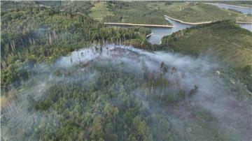 Nach Waldbrand im Harz: Wald wird wieder freigegeben Seit Sonntag hatte es im Harz nahe Goslar gebrannt, nun finden nur noch letzte Nachlöscharbeiten statt. (Archivfoto)