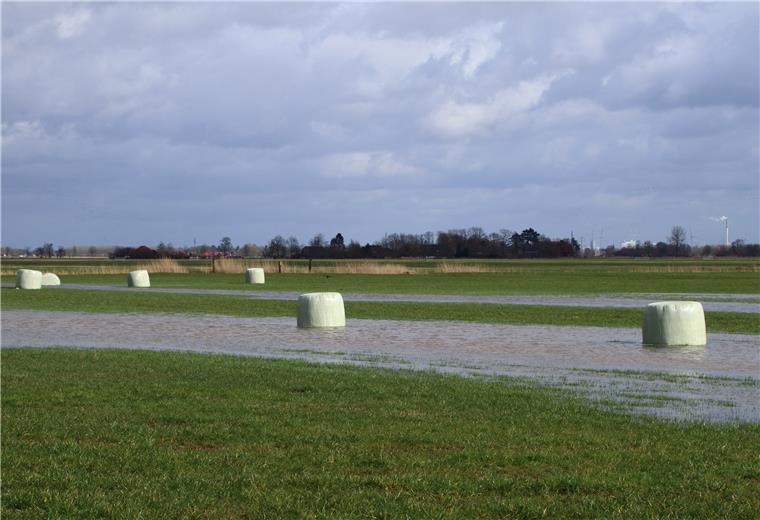 So nass war es seit 40 Jahren nicht Seit vier Wochen regnet es fast jeden Tag. Das Wasser staut sich auf manchen Wiesen und Weiden.
