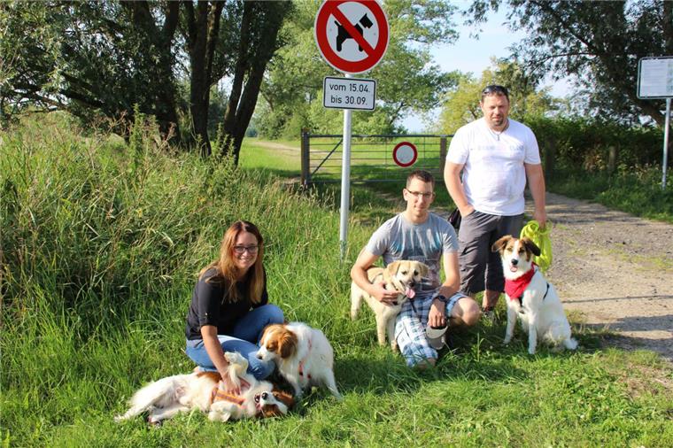 Am Strand Kleinensiel sind Hunde wieder verboten Kleinensieler Strand