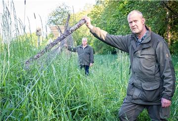 Sieben Jahre nach Errichtung wird der Wildzaun entlang der Cherbourger Straße allmählich morsch: Jagdpächter Jürgen Sibberns (vorne) und Stadtjägermeister Holger Bartels fürchten, dass es ohne Zaun zu schweren Wildunfällen kommt.