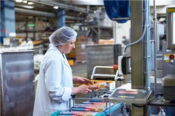 Sieben Millionen Fischstäbchen werden pro Tag in Bremerhaven bei Iglo gefertigt. Je nachdem, für welches Land die Packung bestimmt ist, ändern sich Fischsorte, Rezeptur und Verpackung.