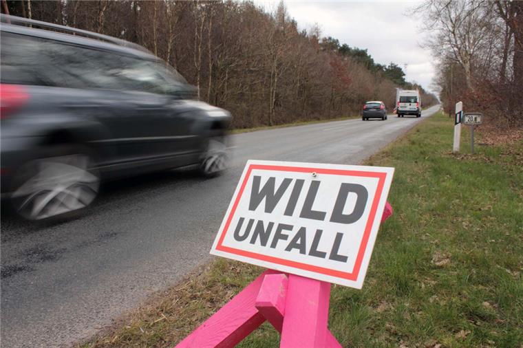 Sieben Stück Rehwild kamen in den letzten drei Monaten auf diesem Stück der Landesstraße 134 zwischen Uthlede und Hagen durch Autos ums Leben.