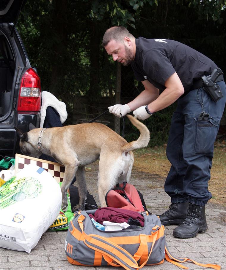 Hurricane-Festival in Scheeßel: 65.000 feiern weitgehend friedlich Sind Drogen im Gepäck? Der Polizeihund hat dafür ein feines Näschen. Schon bei der Anreise zogen die Beamten einige Autofahrer aus dem Verkehr.