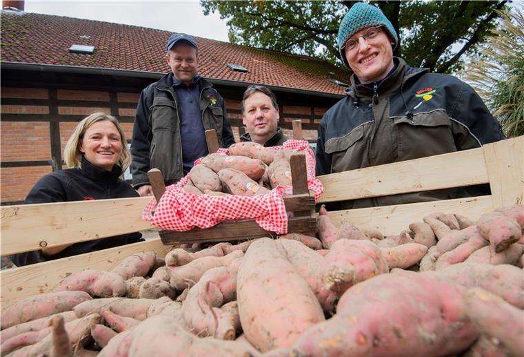 Die Bauern im Norden entdecken die Süßkartoffel Sind von der Qualität ihrer Süßkartoffeln überzeugt: Bianca Lütje, Ernst Lütje, Ulrich Behrens und Jochen Gaus (v.l.n.r.) von der Erzeugergemeinschaft „Gaus-Lütje Kartoffeln“ im Landkreis Gifhorn.