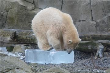 So ein Eisklotz ist ganz schön spannend. 