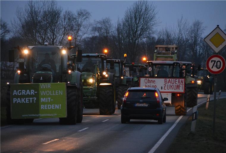 So könnte es auch Donnerstag auf einigen Straßen in der Region aussehen: Trecker behindern den Verkehr. Landwirte wollen in Hamburg unter anderem gegen die Düngeverordnung demonstrieren.