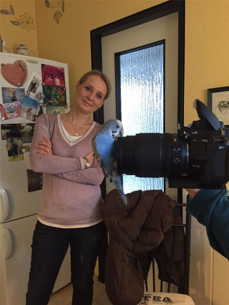 Video: Kleiner Wellensittich "Grisu" ist nicht kamerascheu Statt sich filmen zu lassen, ist Grisu aufs Objektiv geflogen.