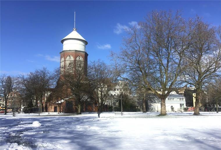 Bremerhaven: Bunte Blumen statt Schneedecke im Leher Stadtpark Schnee im Leher Stadtpark
