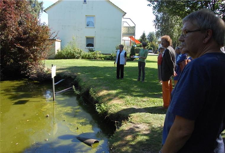 Ein Treffpunkt für Jung und Alt So sah es im August 2016 aus: Verborgen hinter Sträuchern und Bäumen lag der alte Teich, sein Wasser war trübe, das Ufer steil und abgebrochen. Bei einem Workshop vor Ort entwickelten Vertreter der Stadt Brake, der NWP Planungsgesellschaft und eine Reihe von Anliegern Ideen für den Teich.