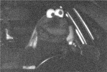 So saß der Fahrer (oder die Fahrerin) am Steuer. Foto: PP Dortmund.
