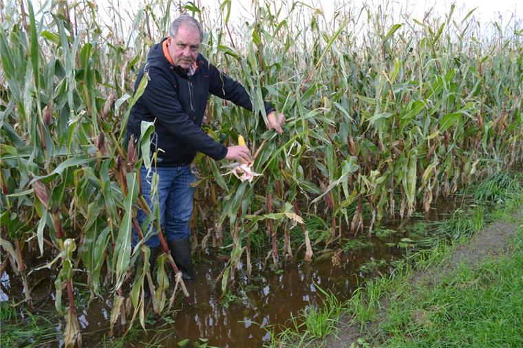Unwetter und Verzögerungen: Maisernte im Cuxland wird zur Schlammschlacht So schlimm sieht es zum Teil auf den Maisäckern im Cuxland aus: Dirk Tramsen, Bauer aus Spieka-Neufeld, steht knöcheltief im Wasser.